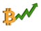 Bitcoin and chart, rising prices, money icon blank