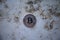 Bitcoin coin lies on a marble table
