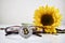 Bitcoin coin, sunflower and glasses