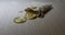 Bitcoin coin on a wooden table background. Cryptocurrency