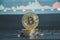 Bitcoin coins are placed on a candlestick background