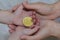 Bitcoin concept. Children share bitcoin. Child hand and bitcoin.