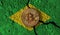 Bitcoin crypto currency coin with cracked Brazil flag. Crypto restrictions