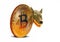 Bitcoin cryptocurrency big bad wolf snarling teeth money digital currency foreign exchange cash internet online trading