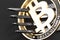 Bitcoin crytocurrency coin with fork