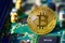 Bitcoin on electronic circuit board. Cryptography and Electronic money concept. Currency trading and Gold mining theme. Business