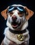 Bitcoin Enthusiast Dog with Goggles