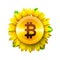 Bitcoin flower concept of virtual money for bitcoin and blockchain. Sunflower icon, bitcoin business concept, vector illustration
