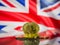 Bitcoin gold coin and defocused flag of United Kingdom background. Virtual cryptocurrency concept.