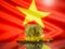 Bitcoin gold coin and defocused flag of Vietnam background. Virtual cryptocurrency concept.