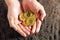 Bitcoin in the heart-shaped hand,electronic virtual money for we