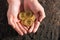 Bitcoin in the heart-shaped hand,electronic virtual money for we