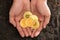 Bitcoin in the heart-shaped hand,electronic virtual money for we