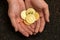 Bitcoin in the heart-shaped hand,electronic virtual money for we