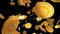 Bitcoin multiplying, gold cryptocurrency coins falling on black background, 3D render