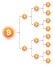 Bitcoin organization tree chart