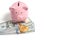 Bitcoin piggy bank and pack of hundred dollar bills spread out on white background