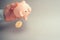 Bitcoin selling concept. Piggy bank for bitcoins. Cryptocurrency sell symbol. A man shake out bitcoin from money box on a gray bac