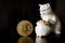 Bitcoin single coin with a cat