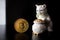 Bitcoin single coin with a cat