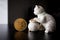 Bitcoin single coin with a cat