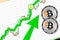 Bitcoin SV going up; Bitcoin SV BSV cryptocurrency price up; flying rate up success growth price chart