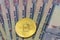 Bitcoin token on top of Dubai, dirham banknotes money