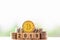 BitcoinBTC Golden and wooden block number year 2019 on greenery nature background.