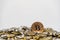Bitcoins with coins scattered on white background. Crypto currency concept. Investment concept
