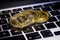 Bitcoins, Crypto Money, Bitcoin Transactions on Laptop