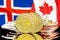 Bitcoins on Iceland and Canada flag background