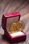 Bitcoins in a jewellery box, an interpretation of crypto currency`s value