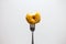 Bite donut with fork in white isolated background