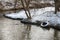 Bitsa river in the suburbs, light snow bushes, old tire, ecology