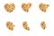 Bitten chip cookie vector illustration