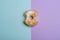 Bitten donut on blue-violet bicolored background