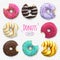 Bitten donuts vector illustration bakery sweet pastry food dessert with holes and toppings collection.