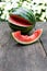 Bitten slice of watermelon
