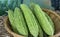 Bitter gourd fresh from the garden in bamboo baskets