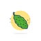 Bitter gourd Vector Icon Illustration. Cute Vegetable. Flat Cartoon Style Suitable for Web Landing Page, Banner, Sticker,