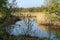 Bityug River and Deciduous Forest in Voronezh Region, Russia