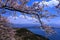 Biwa Lake and cherry