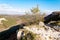 Biyuk-Ashlama-Dere gorge in Crimean mountains Chufut-Kale, Bakhchisaray, Crimea