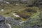 Bizarre ancient rocks of the plateau Roraima tepui - Venezuela,