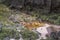 Bizarre ancient rocks of the plateau Roraima tepui - Venezuela,