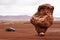 Bizarre Balanced Rock, Marble Canyon, Arizona