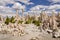 Bizarre Landscape, Mono Lake, California