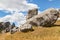 Bizarre limestone boulders at the Castle Hill, New Zealand