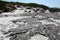 Bizarre rock formation at Friendly Beaches, Tasmania