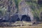 Bizarre rock formation at Halldorsskora or Elephant Rock on the coast of Heimaey Island -Vestmannaeyjar-Westman Islands-Iceland